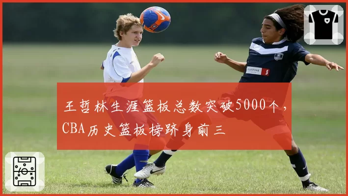 王哲林生涯篮板总数突破5000个,CBA历史篮板榜跻身前三