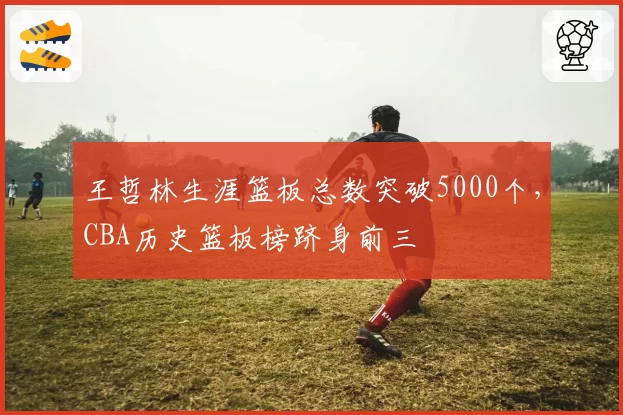 王哲林生涯篮板总数突破5000个,CBA历史篮板榜跻身前三